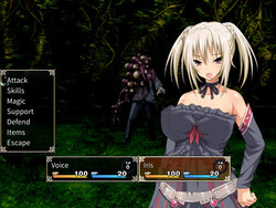 Holy Knight Luviria screenshot 3
