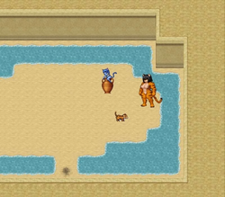 Furry Kitten Beach Party [Stage1] [furrychaser] screenshot 1