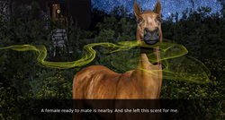 Mothers Village: Camping Day [v1.0] [SHADOWMASTER] screenshot 3