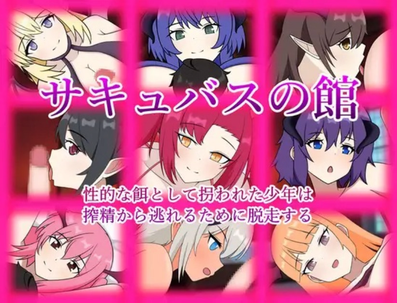 Succubus no Yakata: Seiteki na Esa toshite Sarawareta Shounen wa Sakusei kara Nogareru tame ni Dassou suru poster