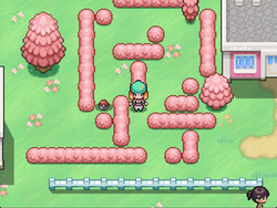 Pokémon Naughty version (v0.1.1) by zozomii screenshot 8