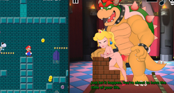 Bowser's Tower of Torture (v0.1) by DryBonex screenshot 4