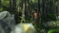 Island Echoes [Day 1] [Cosmobot-7.0] screenshot 5