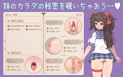 Intimate Days with My Tsundere Sister [v1.0.0] [hakubox] screenshot 3