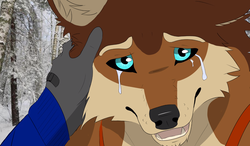 Silent Snowfall (v9.3) by Therealwolfy screenshot 0