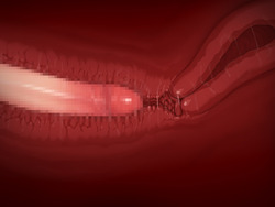 Competitive swimsuit, sunburn marks, teacher and me [final] by PinkPetBottle screenshot 3