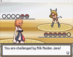 Pokémon Naughty version (v0.1.1) by zozomii screenshot 7